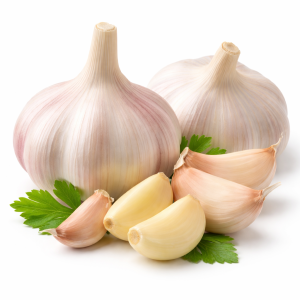 Garlic